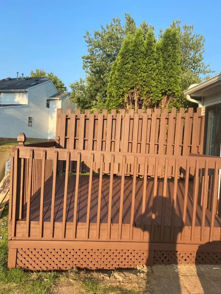 Fences- Exterior Painting + Patio Cleaning and Painting (13)
