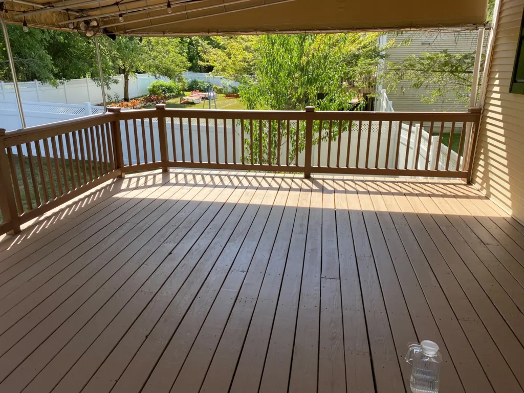 Fences- Exterior Painting + Patio Cleaning and Painting (17)