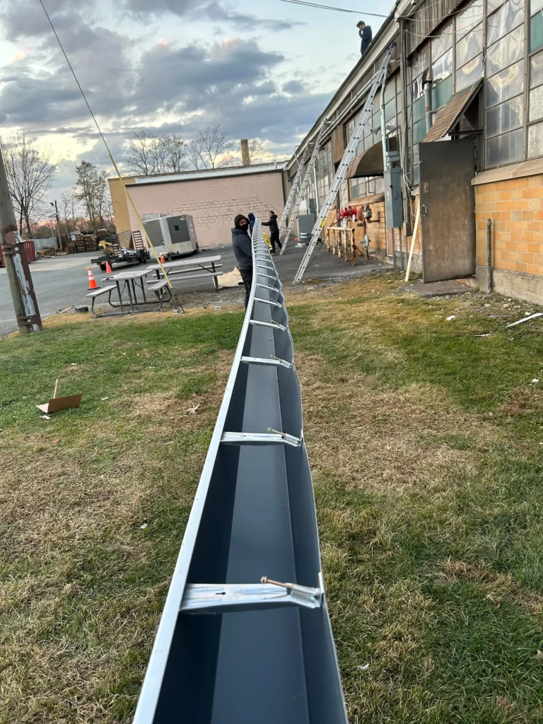 Gutter Cleaning And Repair Cedars RJ (13)