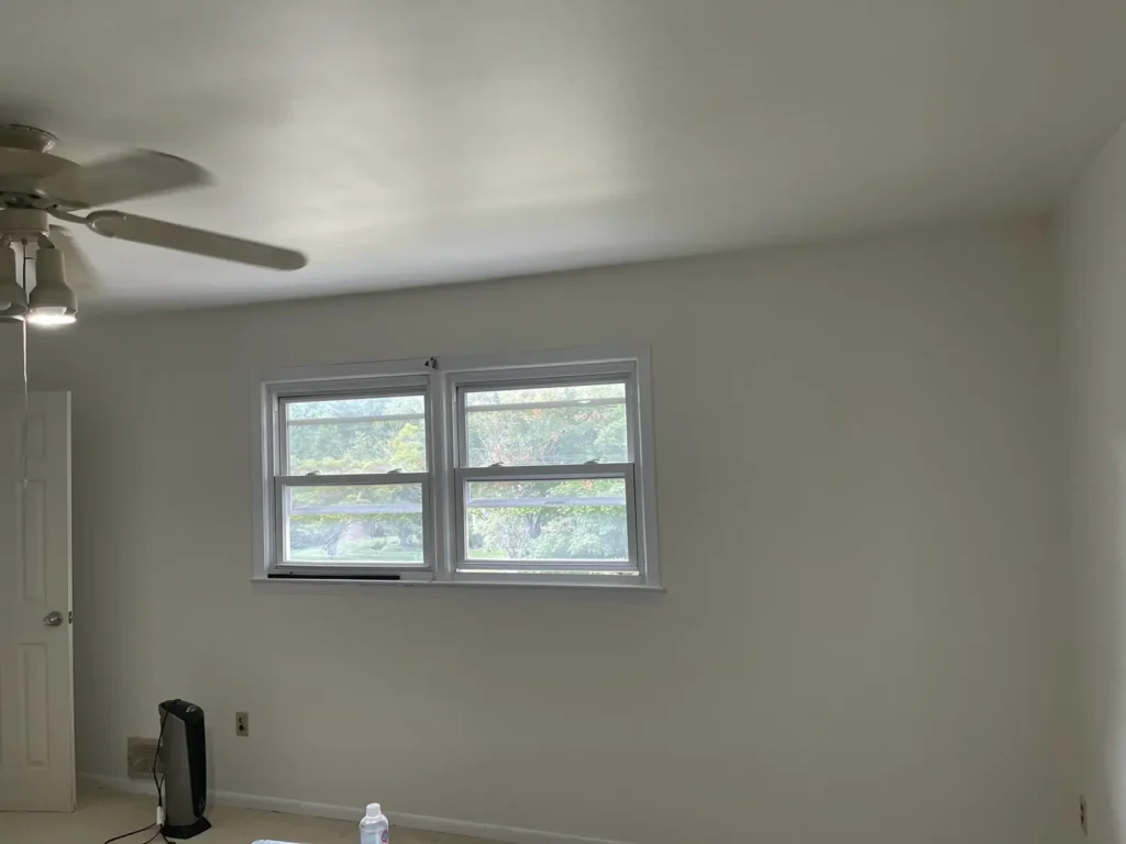 Pressure Washing (12)