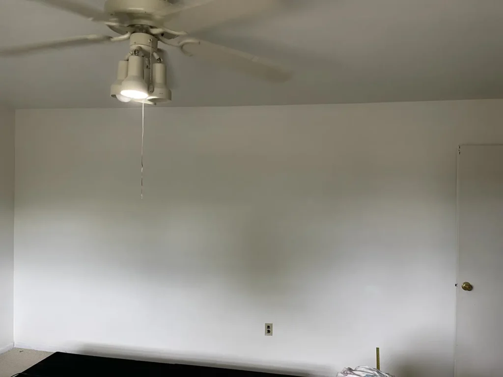 Pressure Washing (13)