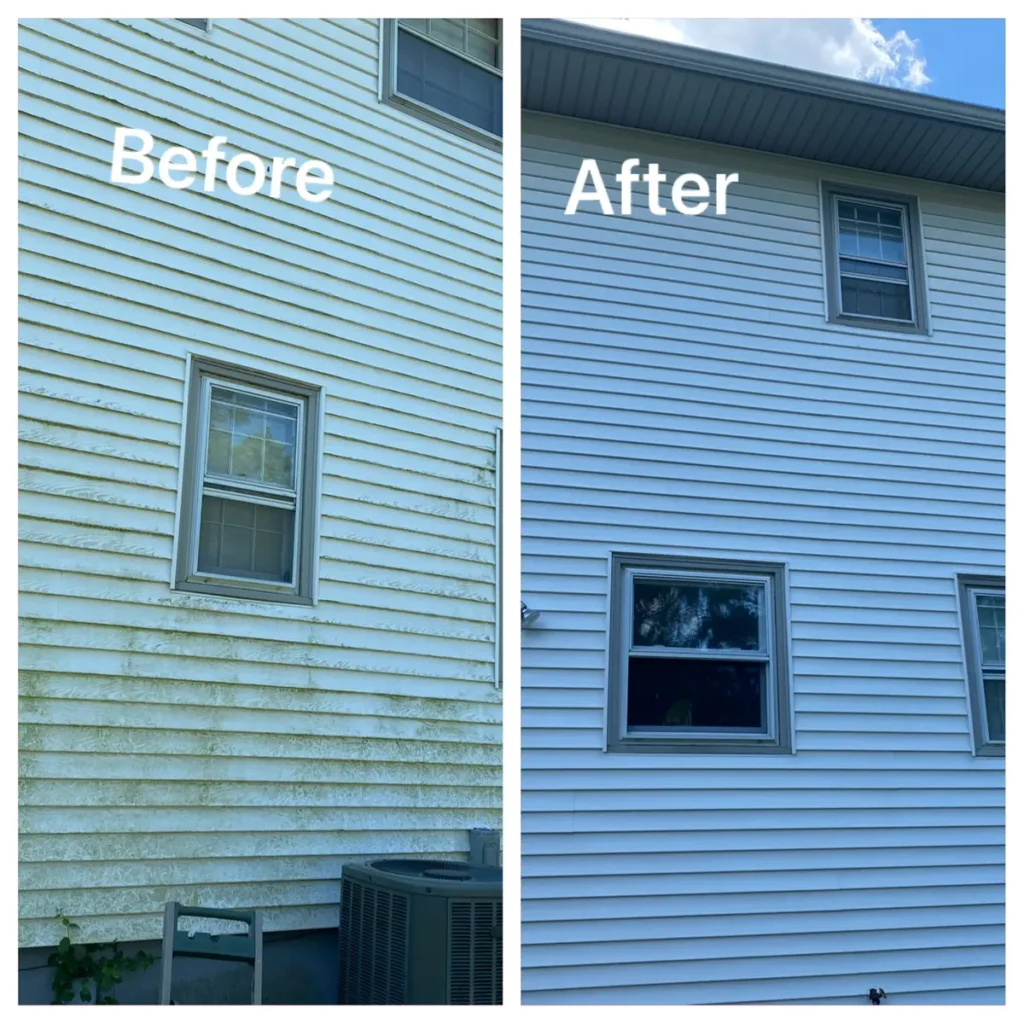 Pressure Washing (4)
