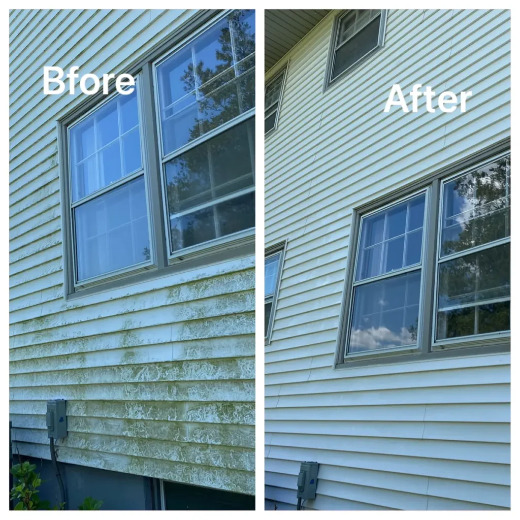 Pressure Washing (9)